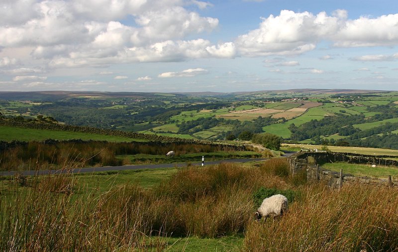 Yorkshire Moors.JPG